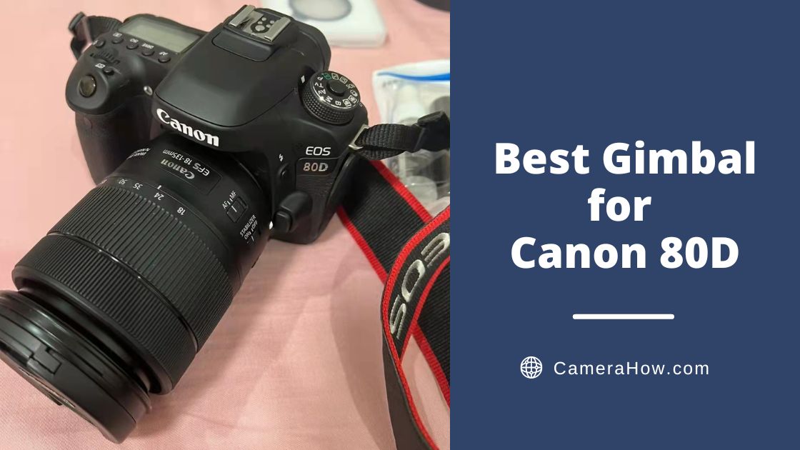 Best Gimbal for Canon 80D