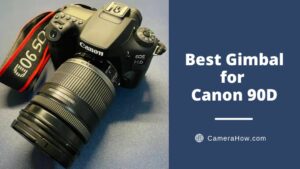 Best Gimbal for Canon 90D