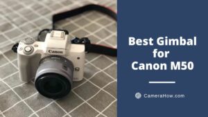Best Gimbal for Canon M50