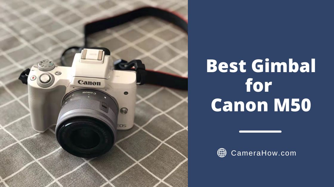 Best Gimbal for Canon M50