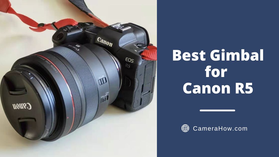 Best Gimbal for Canon R5