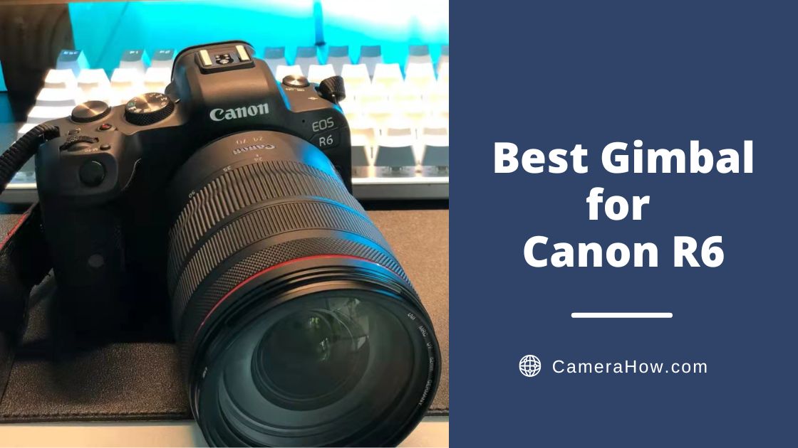 Best Gimbal for Canon R6