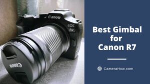 Best Gimbal for Canon R7