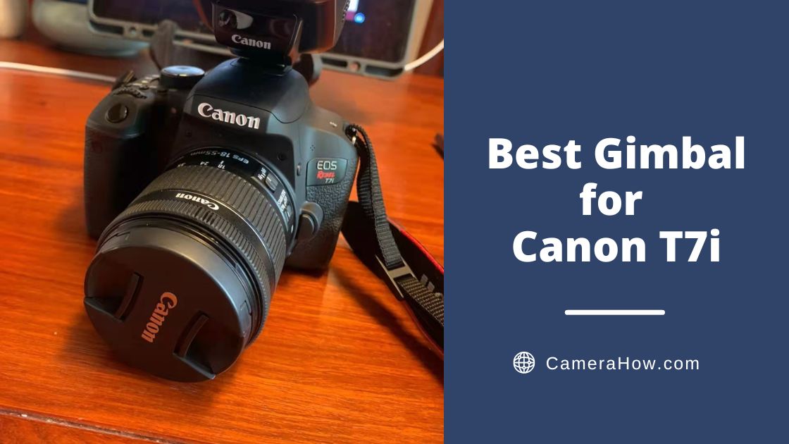 Best Gimbal for Canon T7i