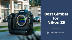 Best Gimbal for Nikon Z9