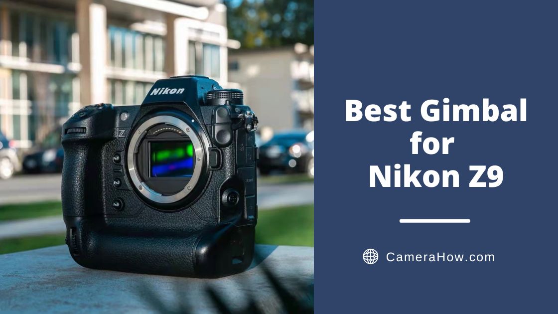 Best Gimbal for Nikon Z9