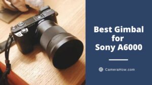 Best Gimbal for Sony A6000