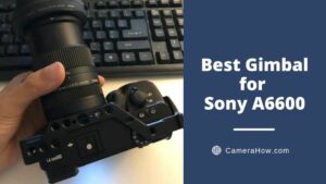 Best Gimbal for Sony A6600