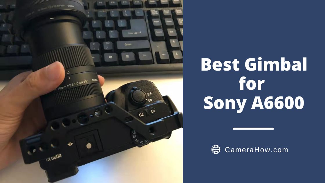 Best Gimbal for Sony A6600