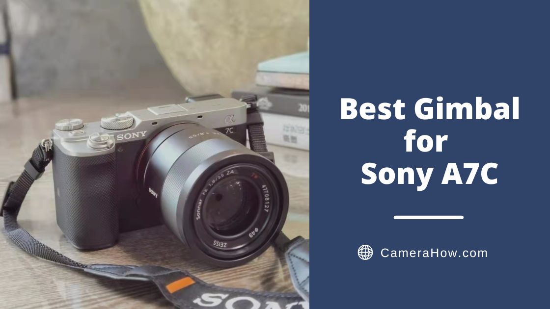 Best Gimbal for Sony A7C
