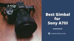 Best Gimbal for Sony A7III