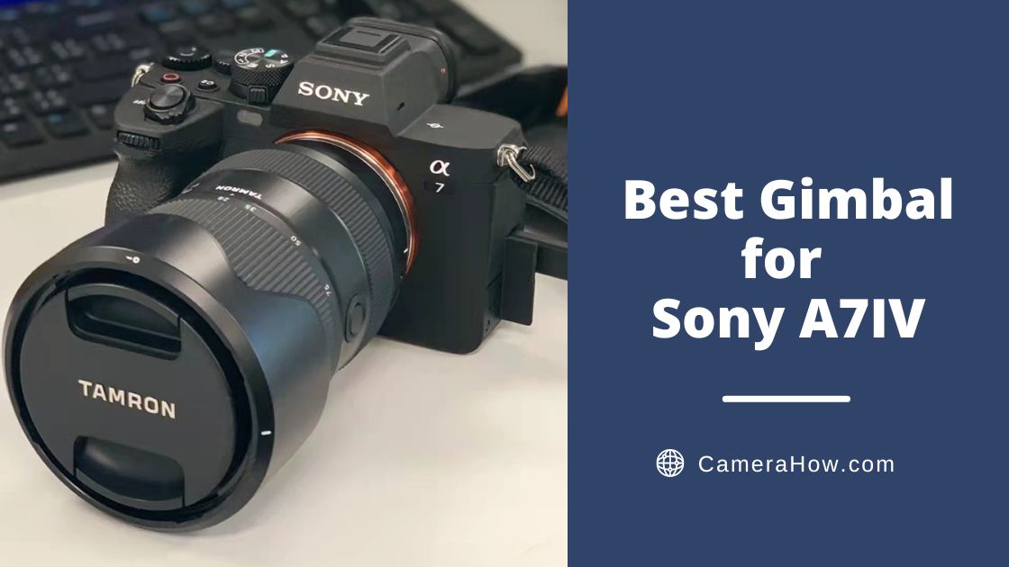 Best Gimbal for Sony A7IV