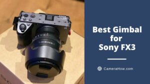 Best Gimbal for Sony FX3