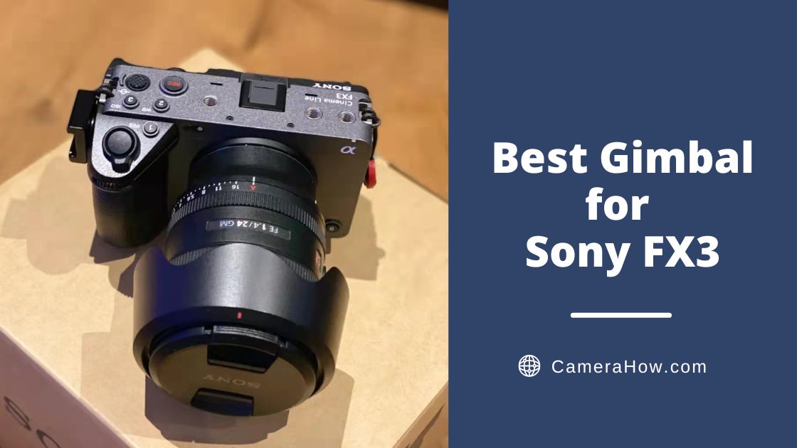 Best Gimbal for Sony FX3