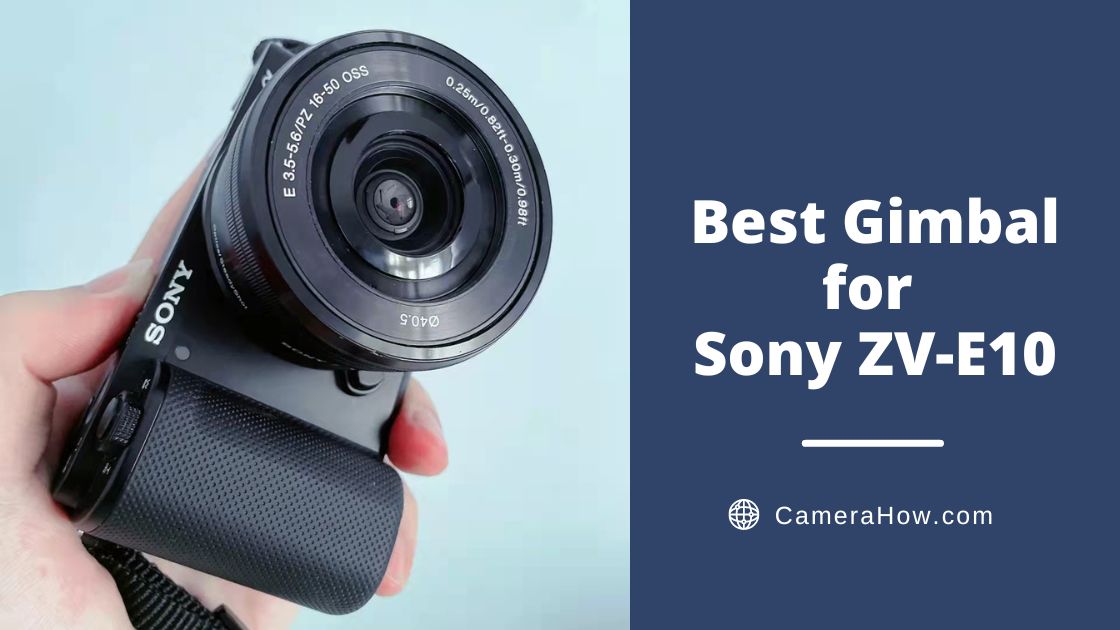 Best Gimbal for Sony ZV-E10