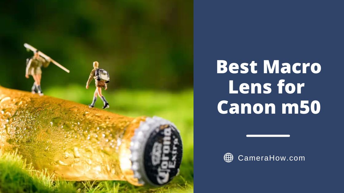 Best Macro Lens for Canon m50