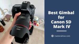 Best Gimbal for Canon 5D Mark IV