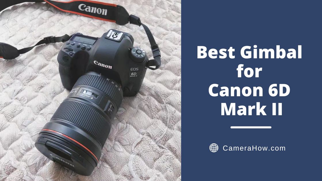 Best Gimbal for Canon 6D Mark II