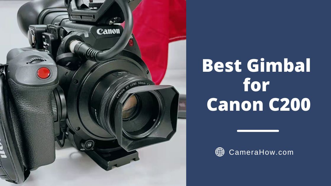 Best Gimbal for Canon C200