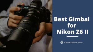 Best Gimbal for Nikon Z6 II