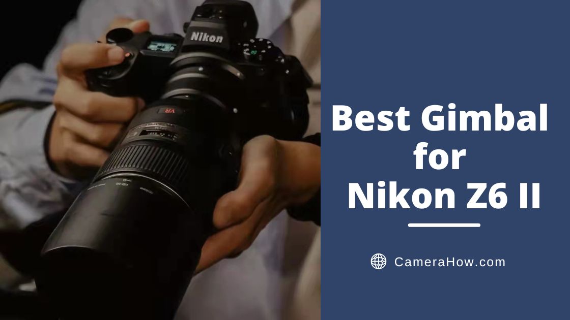 Best Gimbal for Nikon Z6 II