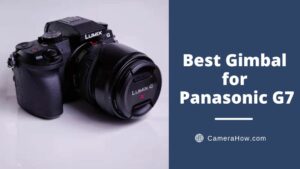 Best Gimbal for Panasonic G7