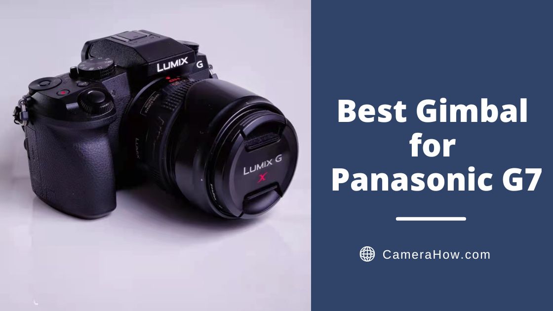 Best Gimbal for Panasonic G7