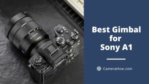 Best Gimbal for Sony A1