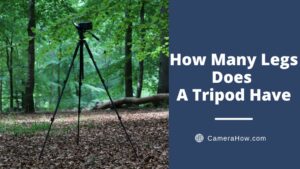 How Many Legs Does A Tripod Have