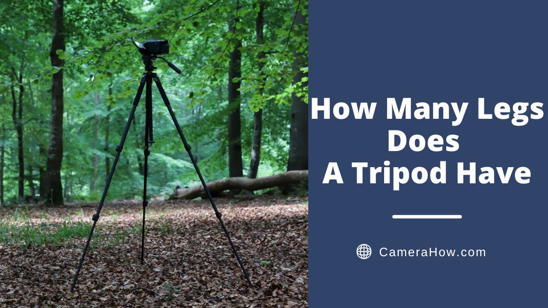 How Many Legs Does A Tripod Have