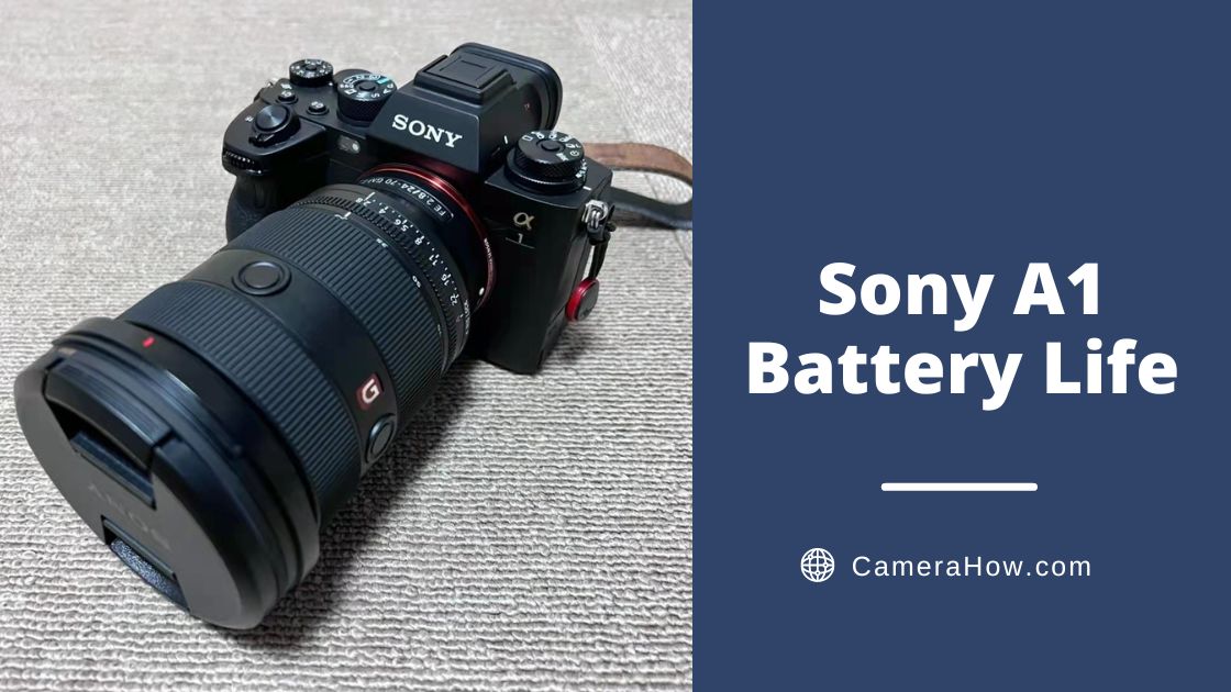 Sony A1 Battery Life