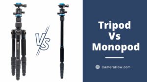Tripod Vs Monopod