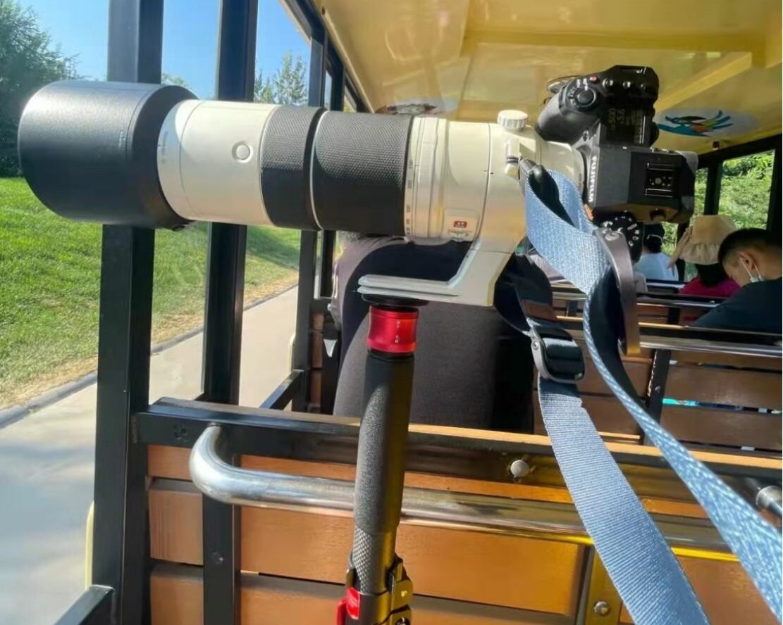monopod-in-zoo