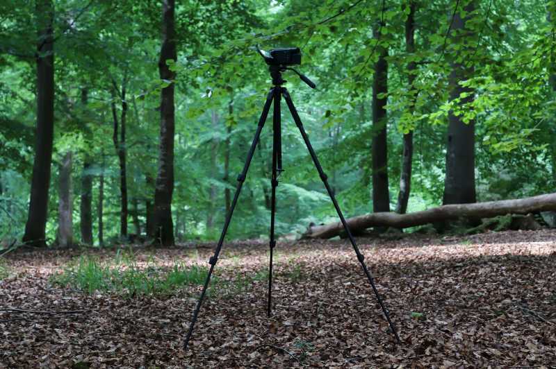 tripod in park
