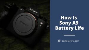 Sony A9 Battery Life