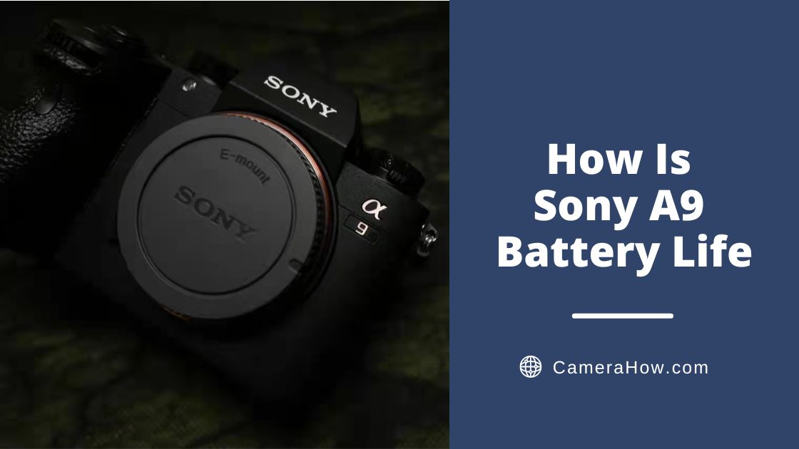 Sony A9 Battery Life