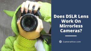 Does DSLR Lens Work On Mirrorless Cameras
