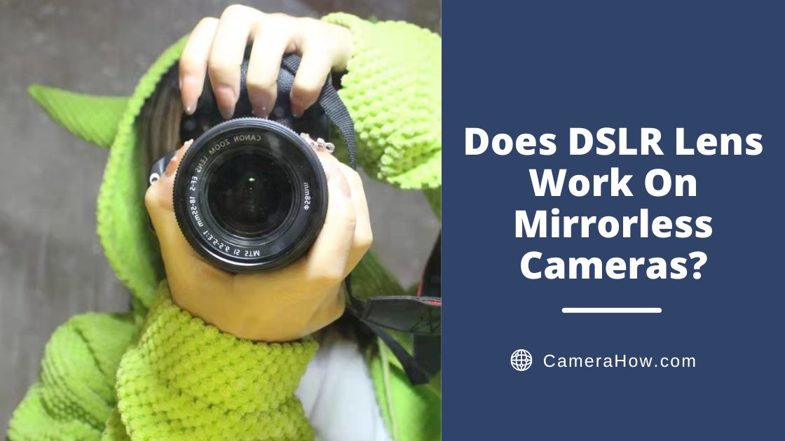 Does DSLR Lens Work On Mirrorless Cameras