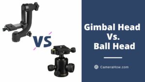 Gimbal Head Vs. Ball Head