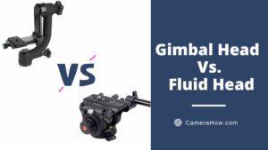 Gimbal Head Vs. Fluid Head