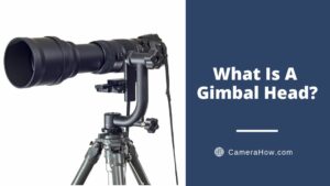 What is a gimbal head